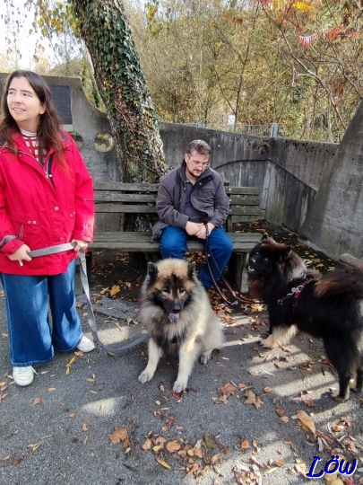 2.11.2025 - Rast vor der Heimfahrt